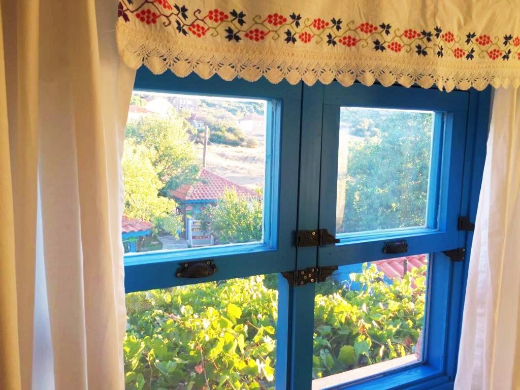 Ayvacik Alterna Koey Evi 게스트하우스 외부 사진