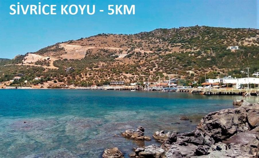Ayvacik Alterna Koey Evi 게스트하우스 외부 사진