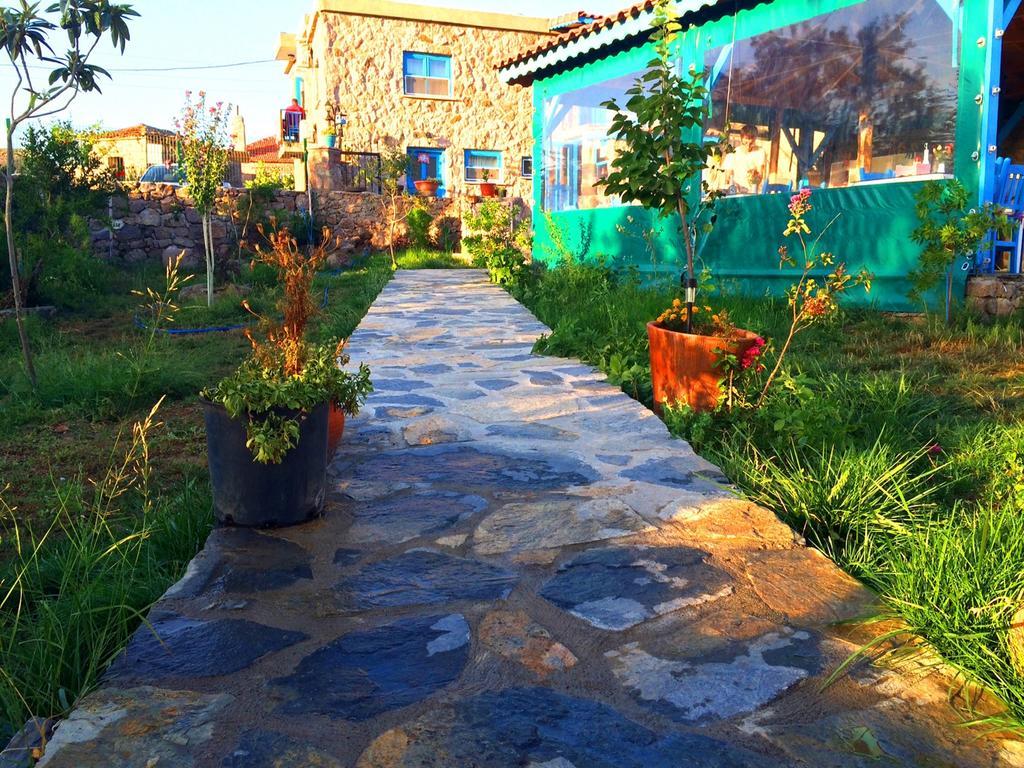 Ayvacik Alterna Koey Evi 게스트하우스 외부 사진