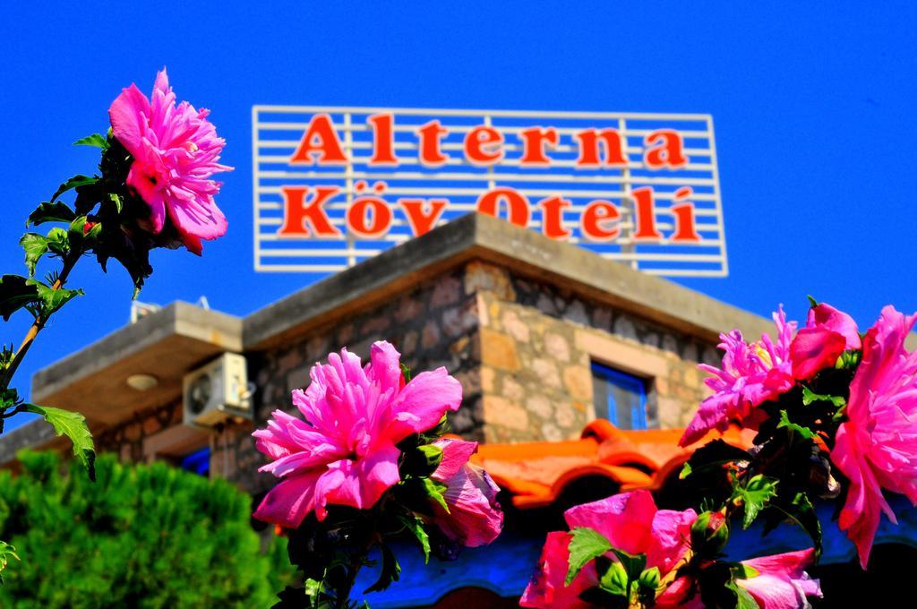 Ayvacik Alterna Koey Evi 게스트하우스 외부 사진